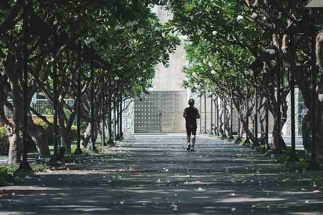 高清黑料网入口追击发展史